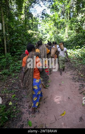 Pigmei del popolo Baka o BaAka con le loro reti da caccia sulla strada per la caccia, riserva forestale densa speciale Dzanga-Sangha, Sangha-Mbaere Foto Stock