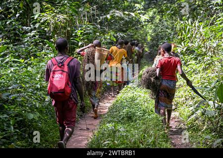 Pigmei del popolo Baka o BaAka con le loro reti da caccia sulla strada per la caccia, riserva forestale densa speciale Dzanga-Sangha, Sangha-Mbaere Foto Stock