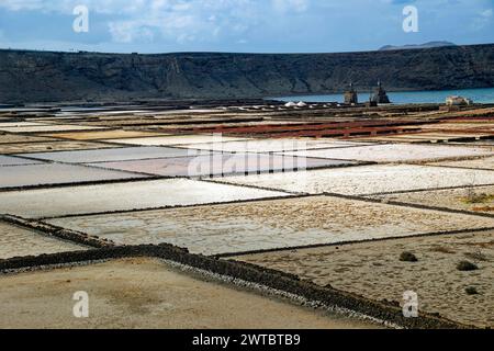 Estrazione di sale marino, saline di Janubio, Salinas de Janubio, Lanzarote, Isole Canarie, isole Canarie, Spagna Foto Stock