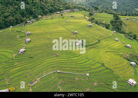 Vedute aeree di una piccola casa e del campo di risaie a terrazze presso le terrazze di riso del villaggio di pabongpaing Mae-Jam Chiang mai, Thailandia. Il punto di vista del viaggio. Riso Foto Stock