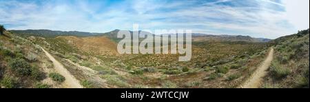 Una vista panoramica di un paesaggio desertico con una strada sterrata che lo attraversa. Il cielo è limpido e blu, e il sole splende brillantemente. Il paesaggio Foto Stock