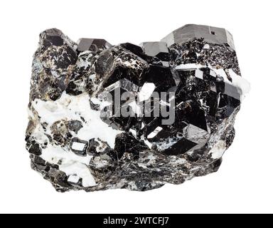 campione di ammasso di ritaglio minerale naturale di melanite andradite nera su sfondo bianco Foto Stock