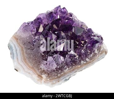 campione di geode naturale grezzo di cristalli di ametista ritagliato su sfondo bianco Foto Stock