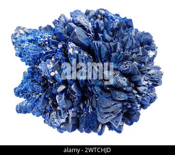 campione di roccia di azurite grezza naturale su sfondo bianco Foto Stock