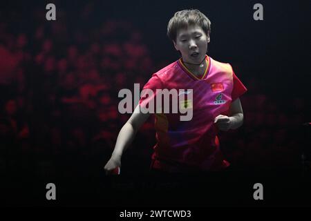 Singapore. 17 marzo 2024. Wang Manyu della Cina reagisce durante la finale di singolare femminile contro la sua compatriota Wang Yidi al World Table Tennis Singapore Smash 2024 a Singapore, 17 marzo 2024. Credito: Poi Chih Wey/Xinhua/Alamy Live News Foto Stock