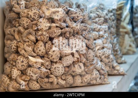 In sacchetti di plastica trasparenti, funghi shiitake in vendita sul mercato. Lo shiitake è un fungo commestibile originario dell'Asia orientale che viene coltivato e consu Foto Stock