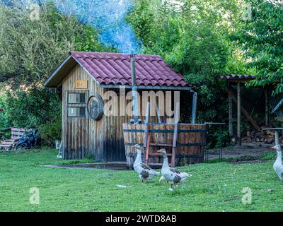 Sauna a El Fogon de Rio Claro, ostello e centro benessere, idromassaggio, prato d'oca, alloggi rurali, Cile Foto Stock