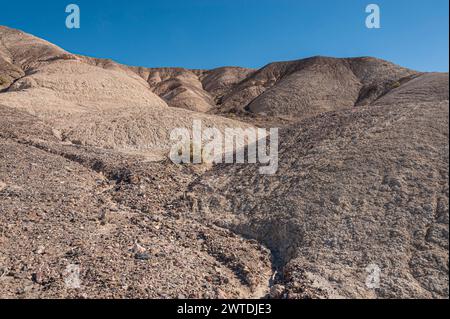 Death Valley Arroyo o letto di fiume secco, USA Foto Stock