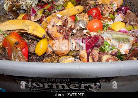 Marciando il cibo che compositing in wormery, Regno Unito Foto Stock