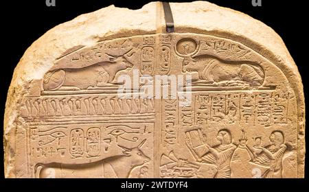 Egitto, Saqqara, Serapeum, Apis Bull Stele, che mostra anche un altro toro sacro: Mnevis. Foto Stock