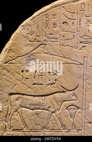 Egitto, Saqqara, Serapeum, un toro Apis sulla stele di un uomo di nome Khonsu. Foto Stock