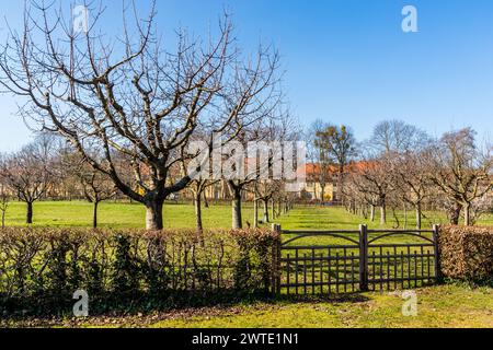 Innumerevoli alberi da frutto caratterizzano la colonia russa Alexandrowka a Potsdam, Brandeburgo, Brandeburgo, Germania Foto Stock