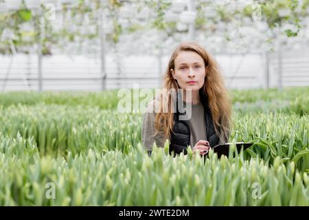 Una donna si trova in una serra con tulipani, osserva la crescita dei fiori e prende appunti in un quaderno. Foto Stock