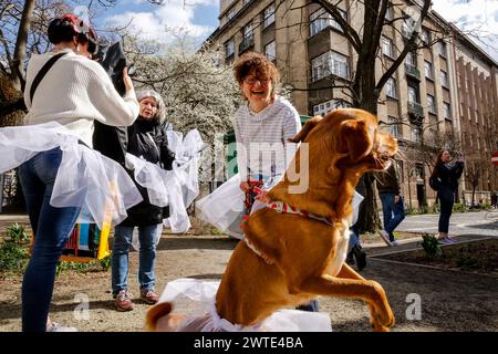Cracovia, Polonia, 17 marzo 2024. Un gruppo di manifestanti in gonne bianche da ballerina, per simboleggiare la protesta di purezza e confinamento di fronte al Consolato russo a Cracovia durante il terzo giorno delle elezioni presidenziali russe a mezzogiorno. Il leader dell'opposizione russa, morto di recente in carcere, Alexei Navalny, e poi sua moglie Julia Navalna, hanno chiesto all'opposizione di presentarsi alle votazioni del 17 marzo a mezzogiorno, per mostrare al presidente russo Vladimir Putin il numero di persone che si oppongono al suo regno. È illegale e pericoloso protestare contro il governo in Russia, ecco perché Navalny ha suggerito l'ide Foto Stock