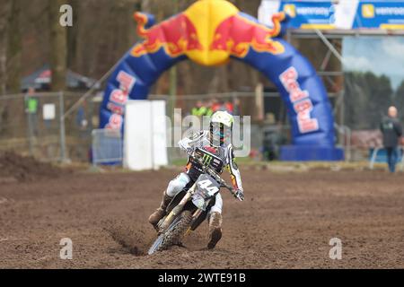 HARFSEN, PAESI BASSI - 17 MARZO: Rick Elzinga NED Yamaha Factory Racing MX2 durante la prima manche 250cc al primo round del Masters of M olandese Foto Stock