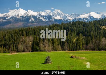 Vista primaverile da podhale alle alte montagne Tatra (Vysoke Tatry, Tatry Wysokie) nelle giornate di sole con cielo senza nuvole. Erba verde sul campo di fronte. Foto Stock