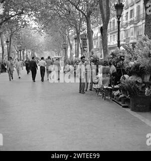 Una vista sul viale Las Ramblas (la Rambla), Barcellona, Spagna nel 1955. Le persone sono fuori passeggiando lungo il quartiere pedonale centrale sotto la sua impressionante copertura alberghiera. In questa sezione dei venditori di fiori di strada sono predominanti - una fotografia vintage degli anni '1950. Foto Stock