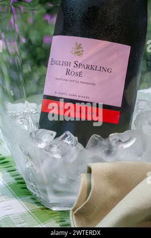 Bottiglia di vino frizzante inglese Rosé ed etichetta nel refrigeratore di vino ghiacciato sul tavolo da picnic all'aperto con giardino floreale alle spalle. Tenterden Kent Regno Unito Foto Stock