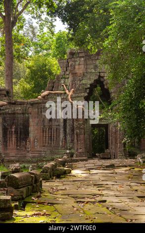 Rovine del tempio Prasat Preah Khan di Angkor Thom vicino a Siem Reap in Cambogia nel sud-est asiatico Foto Stock
