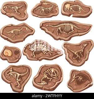 Ossa di dinosauro fossili. Fossile rettile in pietra macinata, scheletro di lucertola dei cartoni animati osso del corpo dei dinosauri giurassici per l'archeologia del museo, set di scavi di animali, illustrazione vettoriale di fossili di dinosauri animali Illustrazione Vettoriale