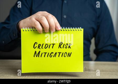 Concetto di attenuazione del rischio di credito. Ridurre al minimo il rischio di perdita di denaro a causa del mancato rispetto degli obblighi di pagamento degli interessi. Immagine concettuale con un bu Foto Stock