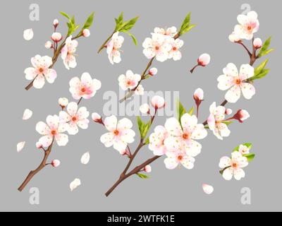 Albicocca in fiore realistica. fiori di prugne, albicocche ciliegie pesche mandorle mele sakura, fiore all'occhiello in fiore, pubblicità immagine vettoriale esatta della fioritura dell'albicocca Illustrazione Vettoriale