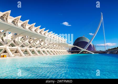 Museu de les Ciències Príncipe Felipe (Museo della Scienza del Principe Filippo) e l'Agora nella città delle Arti e delle Scienze, Valencia, Spagna Foto Stock