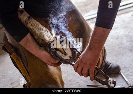 fabbro, ferro di cavallo, un lavoro tradizionale tramandato da maestro a apprendista Foto Stock