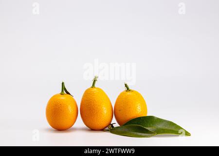Cumquat maturo o frutta Kumquat su sfondo bianco Foto Stock