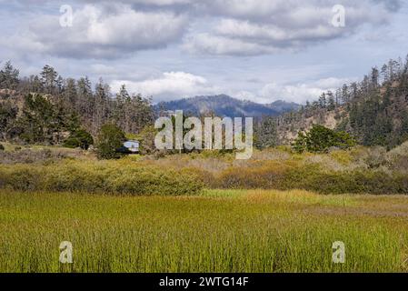 Prato con montagna in lontananza sotto il cielo nuvoloso vicino a Waddell Beach, California. Foto Stock