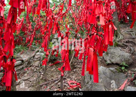 Le persone vengono a scrivere i loro desideri su nastri rossi appesi agli alberi lungo i sentieri della Foresta dei desideri del monte Tianmen in Cina. Foto Stock