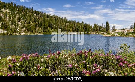 Lago Doris a Desolation Wilderness, California. Foto Stock