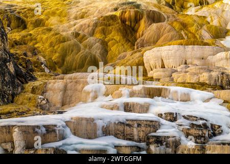 SORGENTI TERMALI MAMMOTH, PARCO NAZIONALE DI YELLOWSTONE, WYOMING, USA Foto Stock