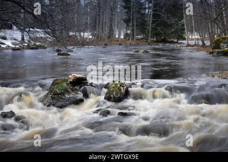 Un ruscello della foresta scorre sopra le rocce. Foto Stock