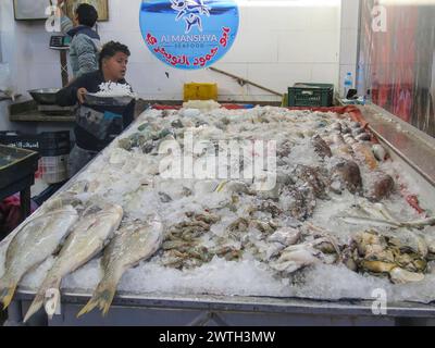 Fische im Fischmarkt von Hurghada, Ägypten *** pesce nel mercato ittico di Hurghada, Egitto Foto Stock