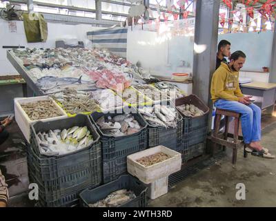 Fische im Fischmarkt von Hurghada, Ägypten *** pesce nel mercato ittico di Hurghada, Egitto Foto Stock
