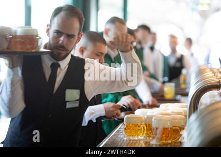 AUSTRIA; VIENNA; 20240315; bicchieri con birra Budweiser ceca appena spillata alla spina durante la stagione inaugurata nel famoso ristorante Schweizerhaus (Swisshouse) nel parco divertimenti Prater di Vienna, a Vienna il 15 marzo 2024. Il ristorante Schweizerhaus è noto per la sua birra di maiale e Budweisser. - 20240315 PD17015 credito: APA-PictureDesk/Alamy Live News Foto Stock