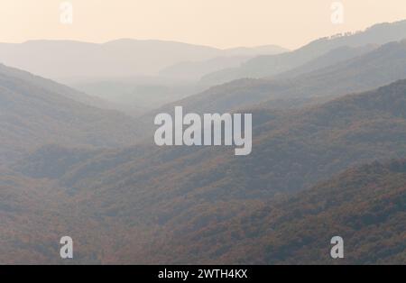 Mattinata nebbiosa al Pinnacle Overlook, Cumberland Gap National Historical Park Foto Stock