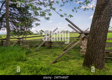Una recinzione a zigzag attraversa un prato verde accanto a un grande albero in fiore a Cedar Creek e al Belle Grove National Historical Park, Virginia. Foto Stock