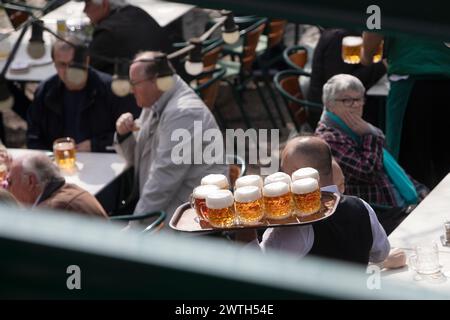 AUSTRIA; VIENNA; 20240315; camerieri portano tableaus con birra ceca Budweiser attraverso la birreria all'aperto del famoso ristorante Schweizerhaus (Swisshouse) nel parco divertimenti Prater di Vienna il 15 marzo 2024. Il ristorante Schweizerhaus è noto per la sua birra di maiale e Budweiser durante la stagione di apertura. - 20240315 PD16998 credito: APA-PictureDesk/Alamy Live News Foto Stock