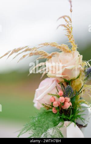 fiori ravvicinati rosa hypericum frutti di bosco di foglie di cardo verde Foto Stock