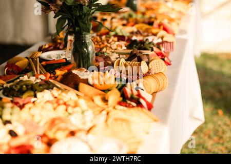 Salumi artigianali sparsi su un elegante tavolo Foto Stock