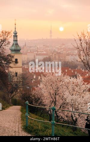 Vista panoramica di Praga all'alba attraverso i giardini fioriti Foto Stock