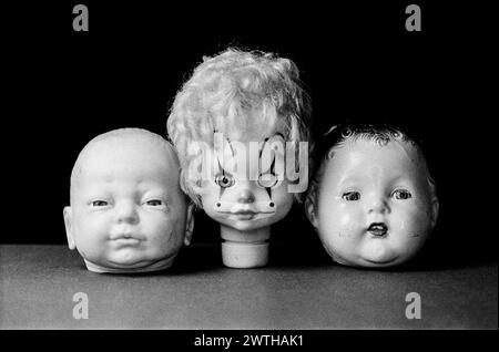 Dolls Heads fotografato in studio. Foto Stock