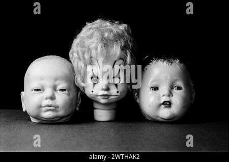 Dolls Heads fotografato in studio. Foto Stock