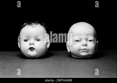 Dolls Heads fotografato in studio. Foto Stock