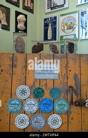 Pathologische anatomische Praeparate mit Tiertuberkulose auf einer Stalltuer im Tuberkulose-Archiv DTA in Heidelberg foto vom 19.02.2024. DAS Deutsche Tuberkulose-Archiv ist nach eigenen Angaben das einzige Museum in Deutschland, das sich ausschliesslich mit dem Thema Tuberkulose beschaeftigt. Es wurde 1996 in Fulda gegruendet, seit 2011 befindet es sich im Rohrbacher Schloesschen im Park der Thoraxklinik Heidelberg. Sein Traeger ist der Foerderverein Deutsches Tuberkulose-Archiv. SOLO PER USO EDITORIALE *** campioni anatomici patologici con tubercolosi animale su una porta stabile della provetta DTA Foto Stock