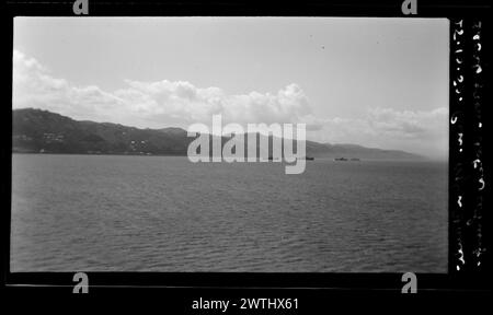 Panorama, sciarpa di faglia di Wellington dal molo di Aotea negativi d'argento gelatina, negativi in bianco e nero Foto Stock