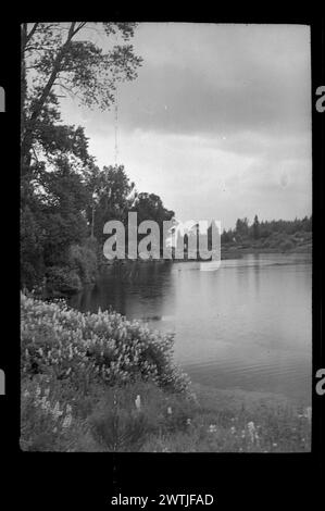 Taupo trip gelatina argento negativi, bianco e nero negativi Foto Stock