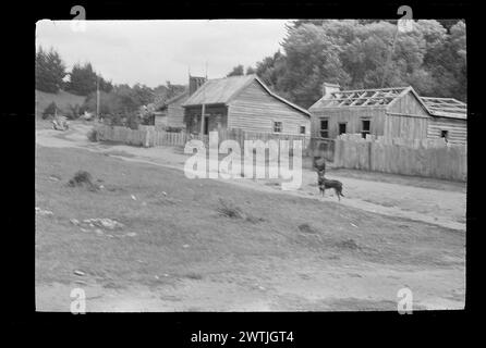 Case residenziali in campagna, Taupo trip gelatina argento negativi, bianco e nero negativi Foto Stock